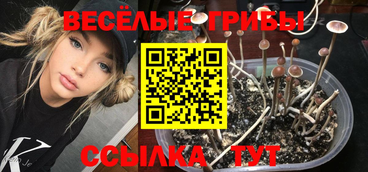 Саяногорск  Псилоцибиновые грибы MAGIC MUSHROOMS  Вход с VPN  Псилоцибиновые грибы Magic Shrooms 